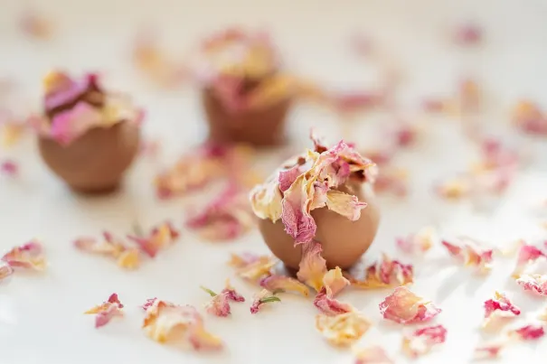 카지노 칠리 스핀스 안드로이드/iOS 앱